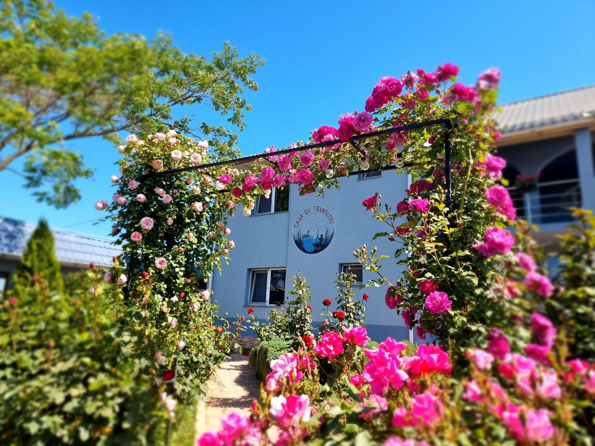 Casa Cu Trandafiri Murighiol Luaran gambar