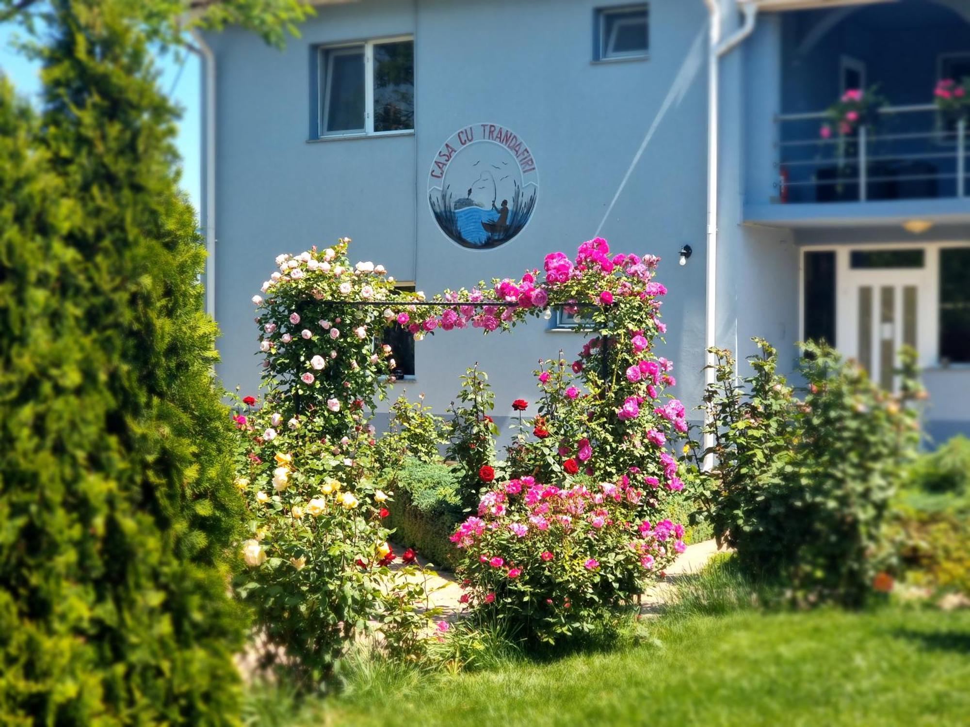 Casa Cu Trandafiri Murighiol Luaran gambar